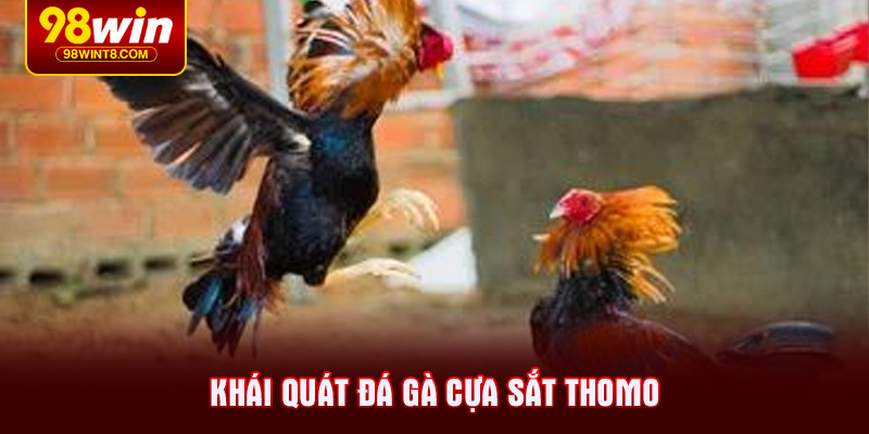 Khái quát đá gà cựa sắt thomo